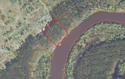 Parduodamas 80 arų plotas brandžiame miške (pušyne) ant Šventosios upės kranto Ukmergės rajone